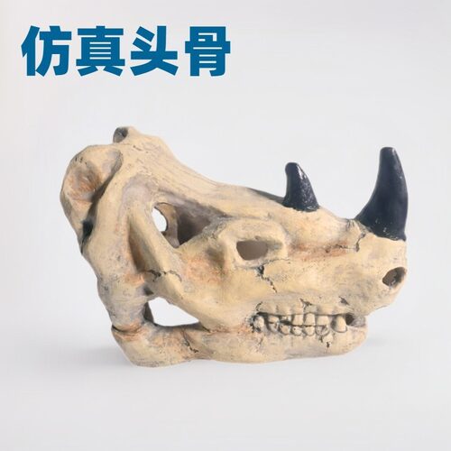 爬宠躲避洞鱼缸造景仿真