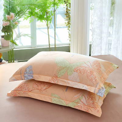 全棉加厚磨毛枕头套家用一对装床上用品枕套纯棉单人枕芯套可
