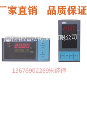 温控钢水测温控制DY2000/DY21N11/DY22N1D/DY26N3/DY29N大延牌仪