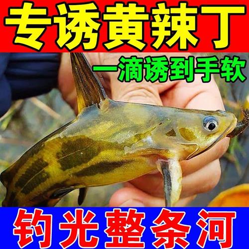 新品专钓黄颡鱼神器野钓黑坑池塘黄辣丁Q专用钓鱼鱼饵添加剂诱饵