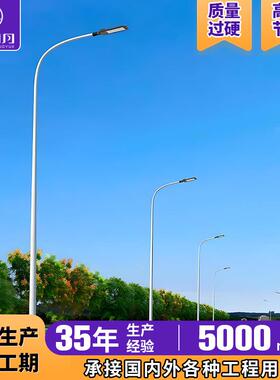 乡村市政工程道路LED路灯户外照明单臂电路灯广场景区6米8米路灯