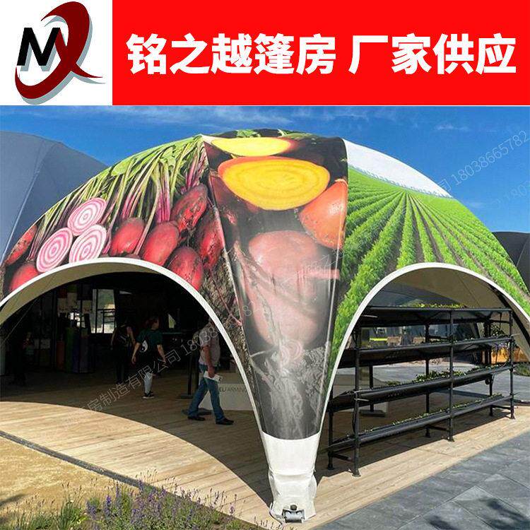 活动球形帐篷户外车展篷房镀锌方钢四瓣球形穹顶帐篷圆形展览帐篷