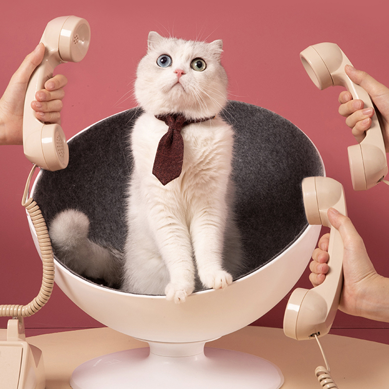 仁可宠物 尾巴生活猫老板猫窝四季通用网红猫咪房子太空舱可拆洗