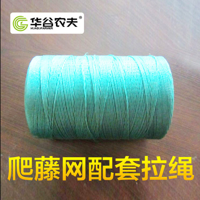 百香果爬藤网拉绳黄瓜种植网大棚园艺捆绑绳子网纹瓜吊瓜绳挂果网