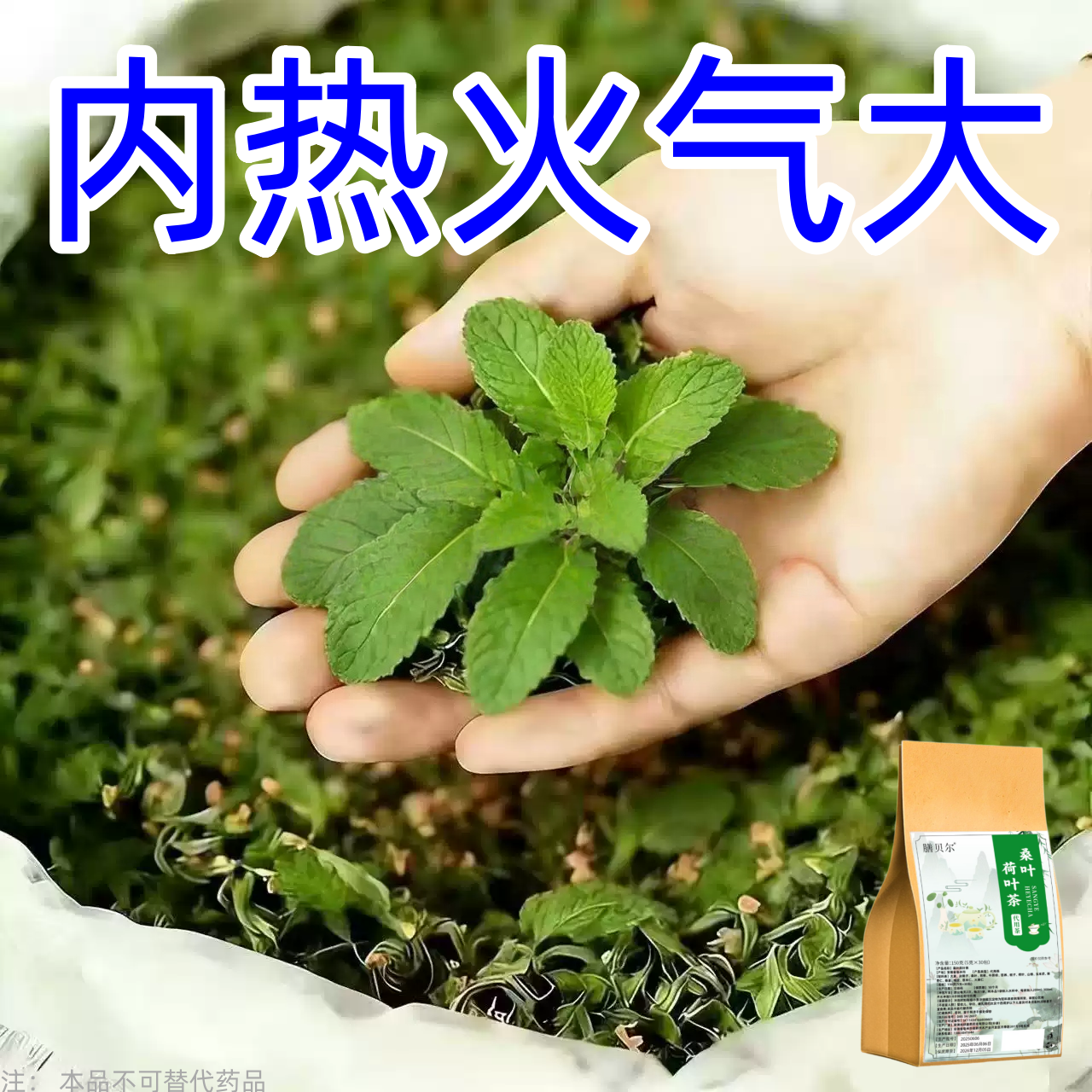 桑叶荷叶茶去火内热火气大口腔溃疡嗓子疼肝火旺胃火心火