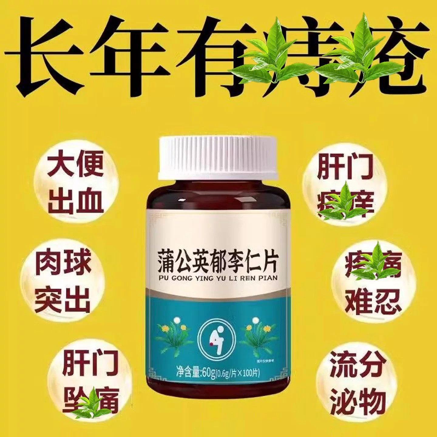 【痔内疮外疮混合】大便疼痛菊花突出长年有庤蒲公英郁李仁片