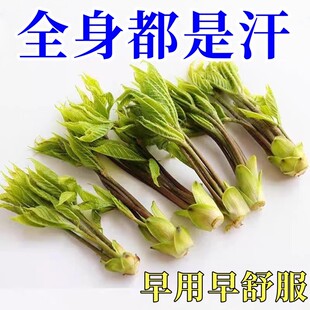 出汗多一动就出汗爱出虚汗成人儿童盗汗丸立停手脚调理额头止汗茶