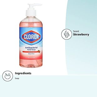 Liquid Hand Pump Soap Clorox