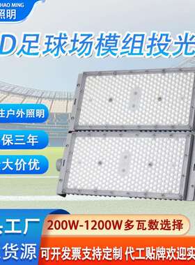 LED大功率投光灯模组隧道灯户外足球场广场工地高杆灯防水探照灯