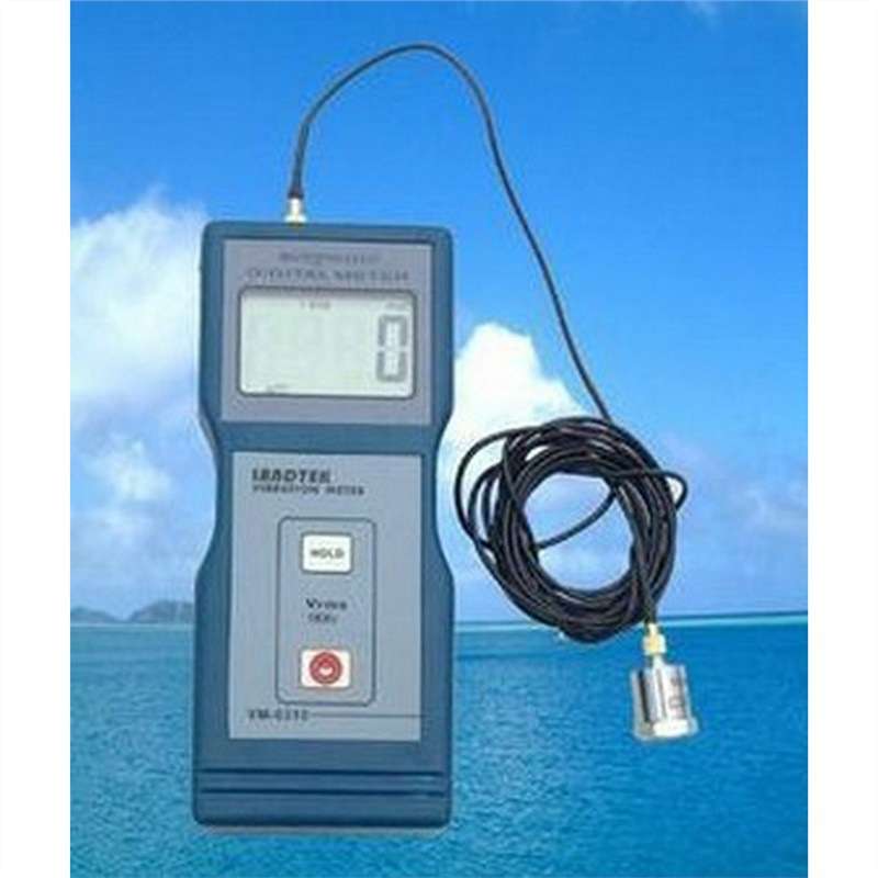 兰泰测振仪VM-6310振动仪 VM6310 振动仪 测震仪