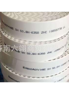 意大利麦高迪MEGADYNE钢丝开口带 25.4H-3800 玻璃机械设备配套