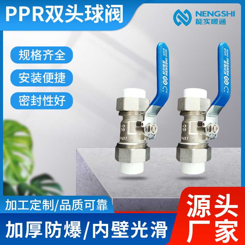 PPR双活水管配件4分6分8分20MPa热熔阀门全铜双头供水开关截止阀