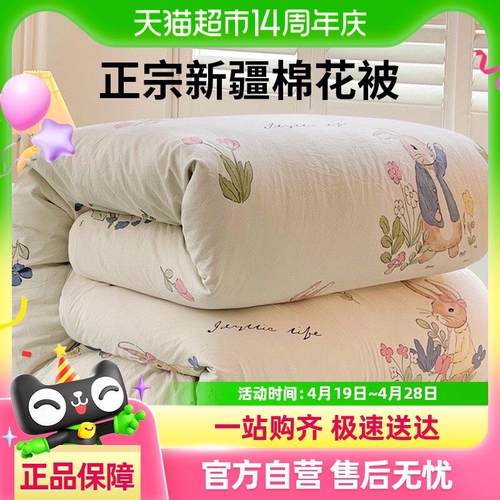 新疆棉花被子冬被芯冬季加厚保暖春秋被棉絮儿童单人学生四季通用