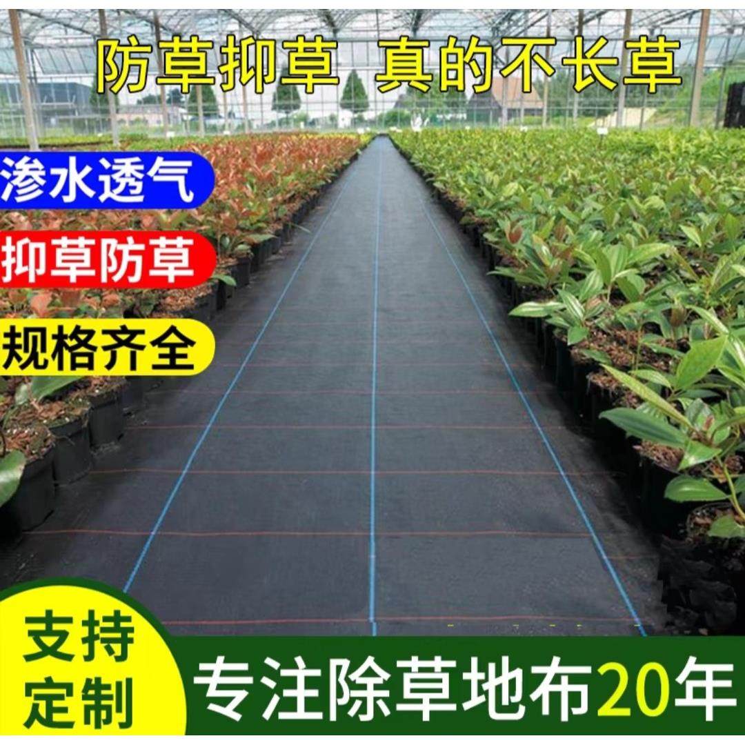 除草布防草布抗老化农用遮盖草果园大棚透气保湿园艺地布pe全新料,农机/农具/农膜,农用防草地布/除草布,淘宝优惠券,粉丝福利购,淘宝优惠卷