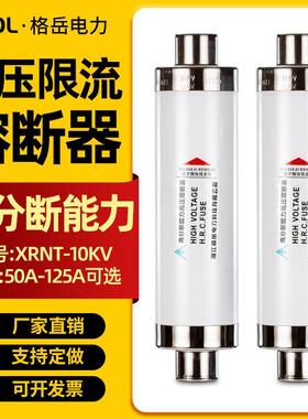 高压熔断器高分断能力限流XRNT10-12KV50A63A80A100A变压器跌落式