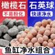 鱼缸过滤滤材净水石英球空心石英球培菌球过滤球形滤材硝化细菌屋