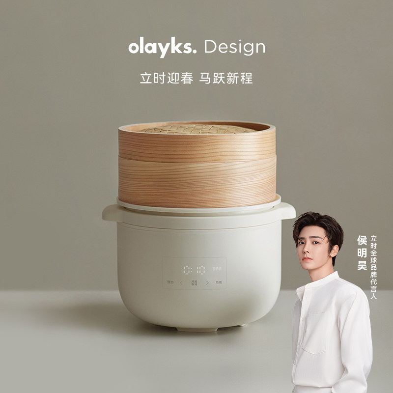 olayks立时电炖锅宝宝煮粥锅婴儿辅食锅bb煲汤燕窝电炖盅隔水炖