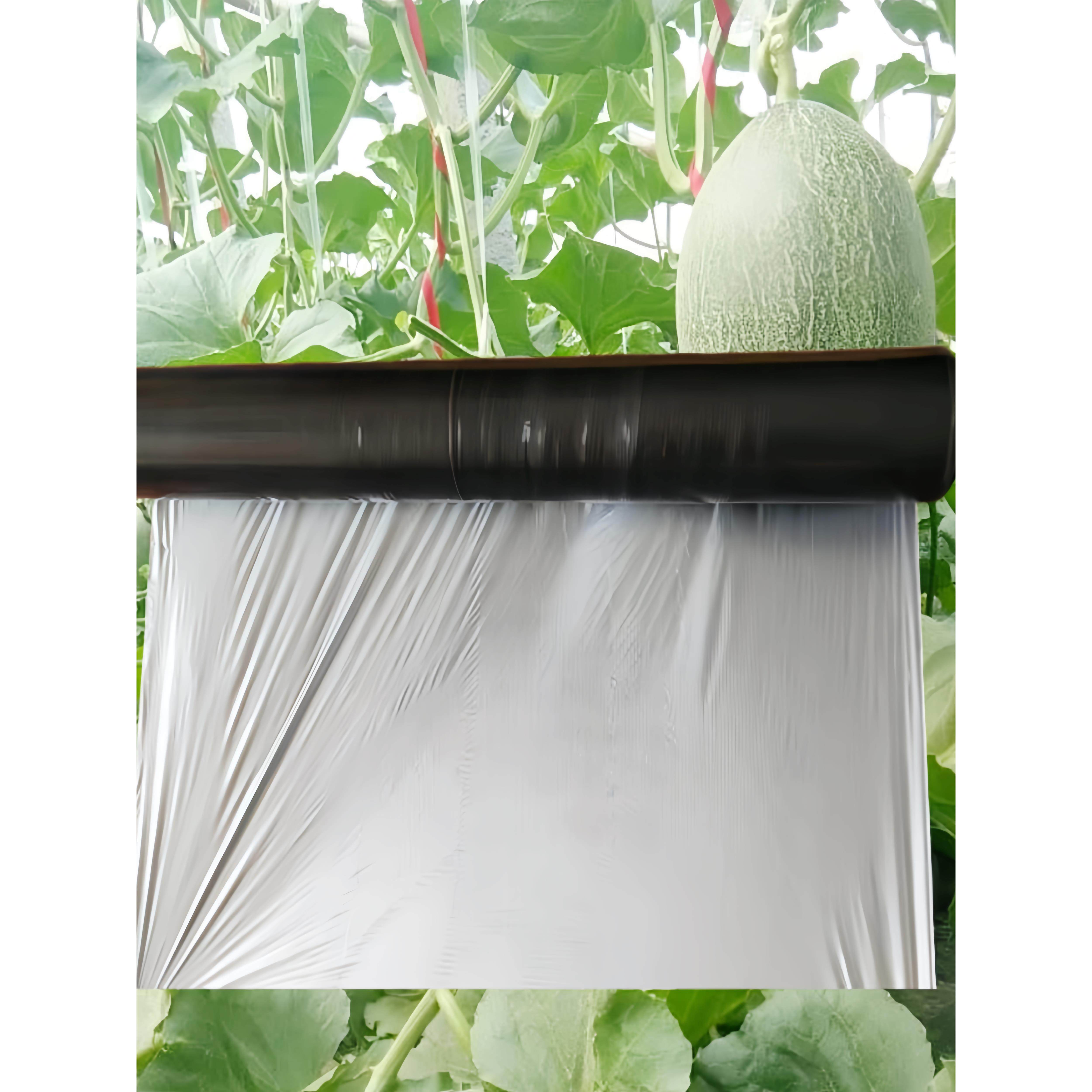 农用银黑双色反光银灰地膜草莓西瓜蔬菜果树种植除草除虫保温保湿
