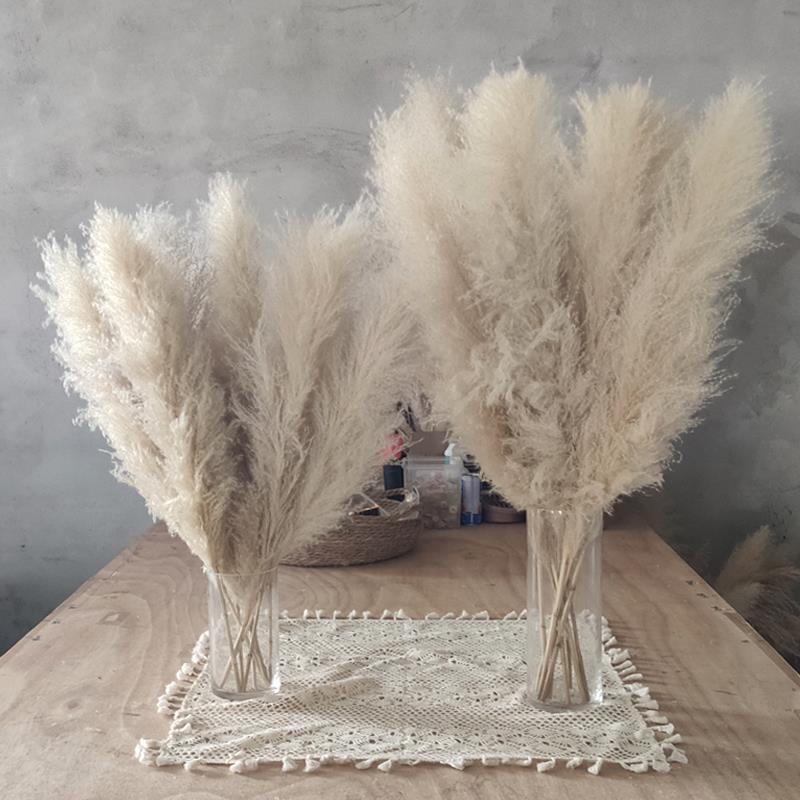 芦苇干花天然花束真花摆件装饰客厅室内蒲苇大穗网红ins摆件仿真