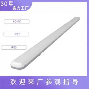 三防LED一体化支架灯 PC防水三防灯 乳白罩贴片防潮三防照明灯
