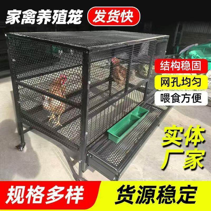 户外防鼠鸡笼鸭笼鸽子笼自动收蛋防偷吃不锈钢网片加镀锌方管制作
