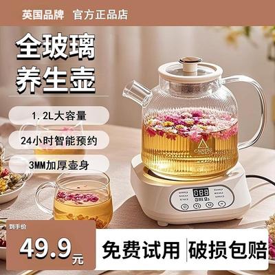 德国养生壶炖煮一体家用小型2025新款办公室煮茶壶多功能电热水壶