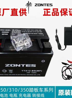 升仕ZT150/310/350-D/E/M胶体12Ah铅酸蓄电池摩托电瓶智能充电器