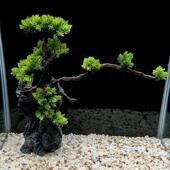 水族箱造景套餐假山水草组合后景大款 彷真沉木迎客松鱼缸装 饰摆饰