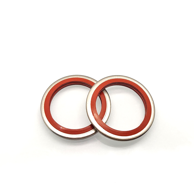 JB982氟胶+316不锈钢组合垫圈垫片密封圈O型圈骨架油封英制组合垫