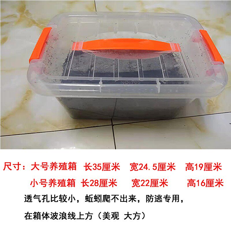 蚯蚓养殖箱 家用蚯蚓养殖箱防逃养蚯蚓箱饲养蚯蚓箱养殖饲养