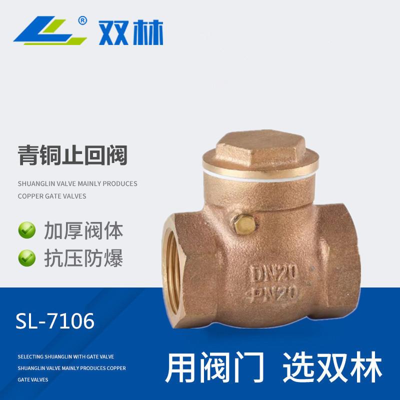 大量现货青铜止回阀耐腐蚀耐高温挡板式阀门BSPNPT双林阀门