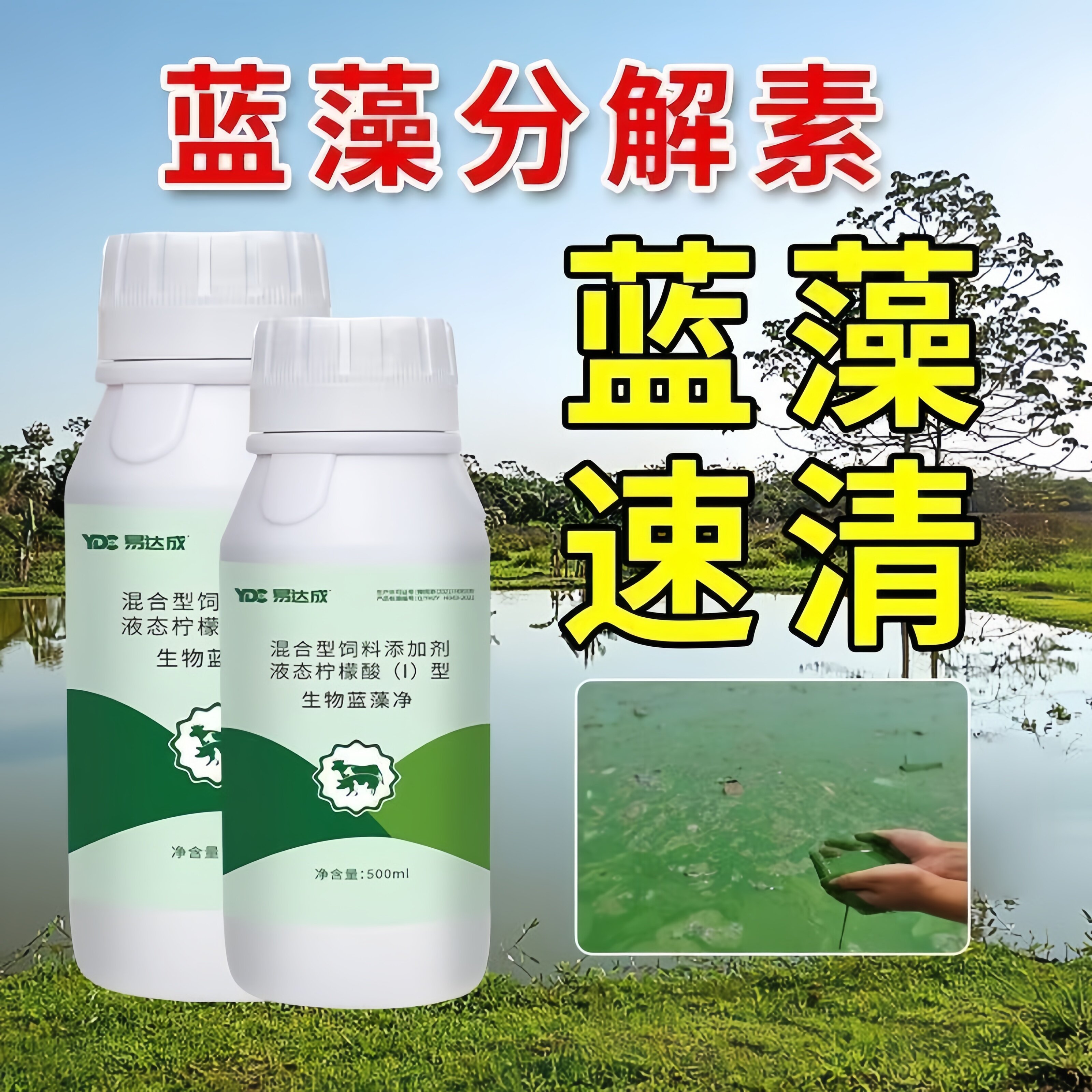 绿藻蓝藻分解酶水藻去除剂蓝藻速灭去老绿水速清水产生物养殖