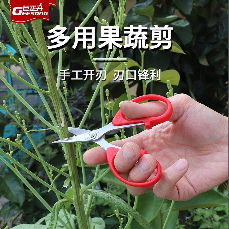 热销蔬果专用修果稀果多肉剪修枝疏花剪刀葡萄番茄蔬菜锋利直头小