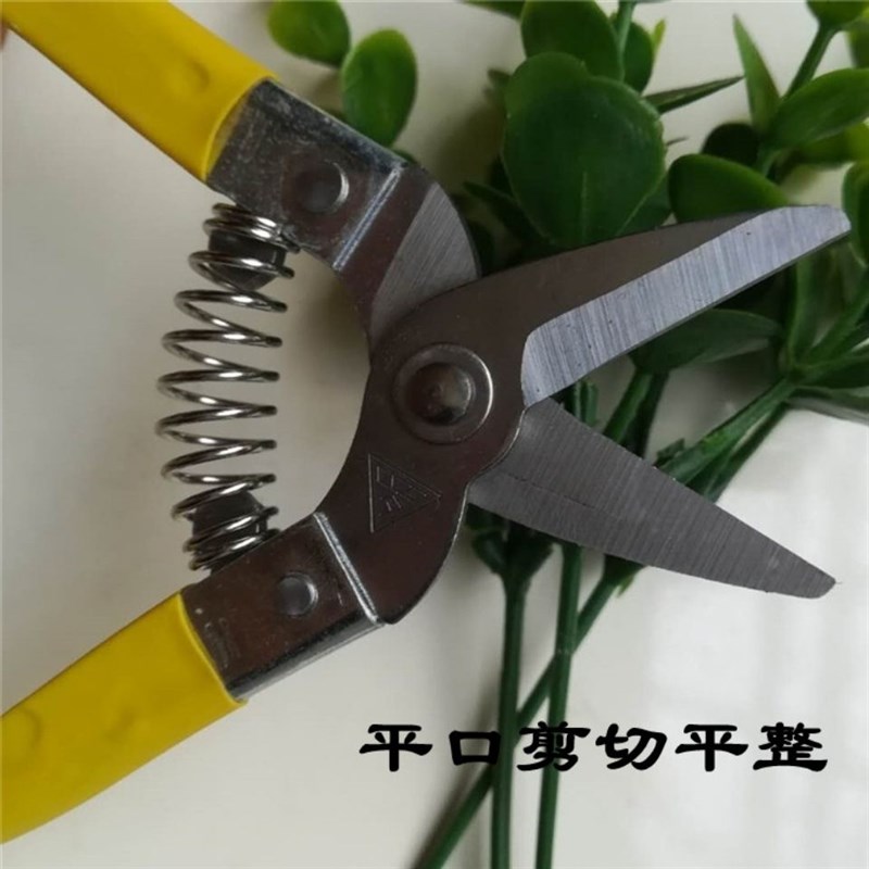 热销罗定小型采果剪刀采摘葡萄柑橘蔬果剪刀园林果树省力花枝修枝