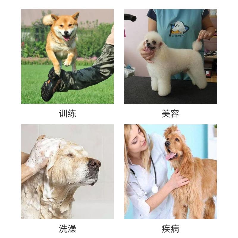 热销采购产品宠物防咬伤手套用于狗训练,加厚防猫抓伤,猫爪抓动