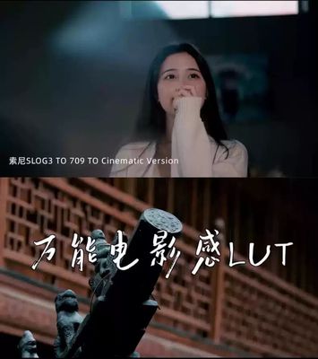 万能的电影感LUT 电影感lut预设PR达芬奇FCPX调色剪映色调