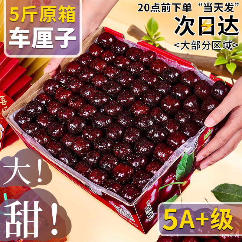 顺丰智利车厘子5斤装礼盒3j4j新鲜水果包邮原箱大脆樱桃5j桑提