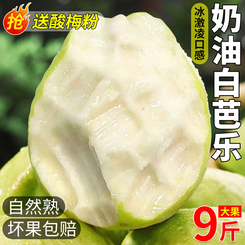 送酸梅粉丨低脂水果软心白芭乐