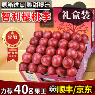 智利樱桃李进口李子脆甜当季时令新鲜水果原箱顺丰包邮礼盒装超甜