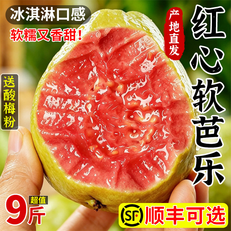 正宗福建红心芭乐番石榴9斤装