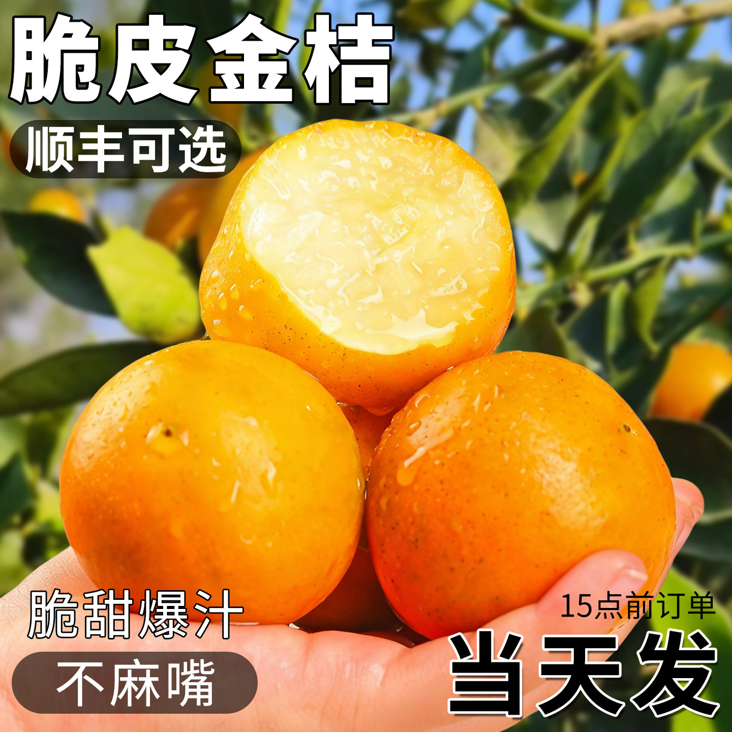顺丰广西脆皮金桔新鲜水果桔子当季现摘小金柑桔金橘融安特产整箱,水产肉类/新鲜蔬果/熟食,桔子,淘宝优惠券,粉丝福利购,淘宝优惠卷