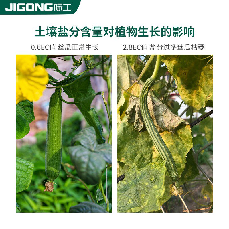 高精度专业级土壤检测仪PH测试酸碱度速测园艺植物EC盐分检测仪