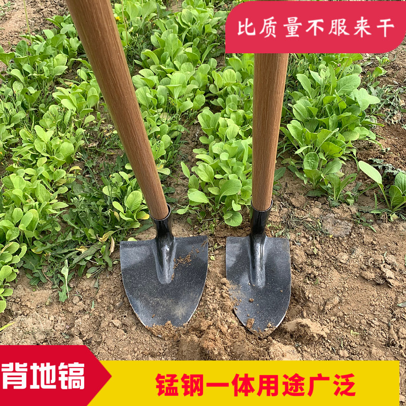 农用三角形锄头锰钢锄头镐锄除草松土犁地工具尖锄开沟搂沟镐头,鲜花速递/花卉仿真/绿植园艺,锄头,淘宝优惠券,粉丝福利购,淘宝优惠卷