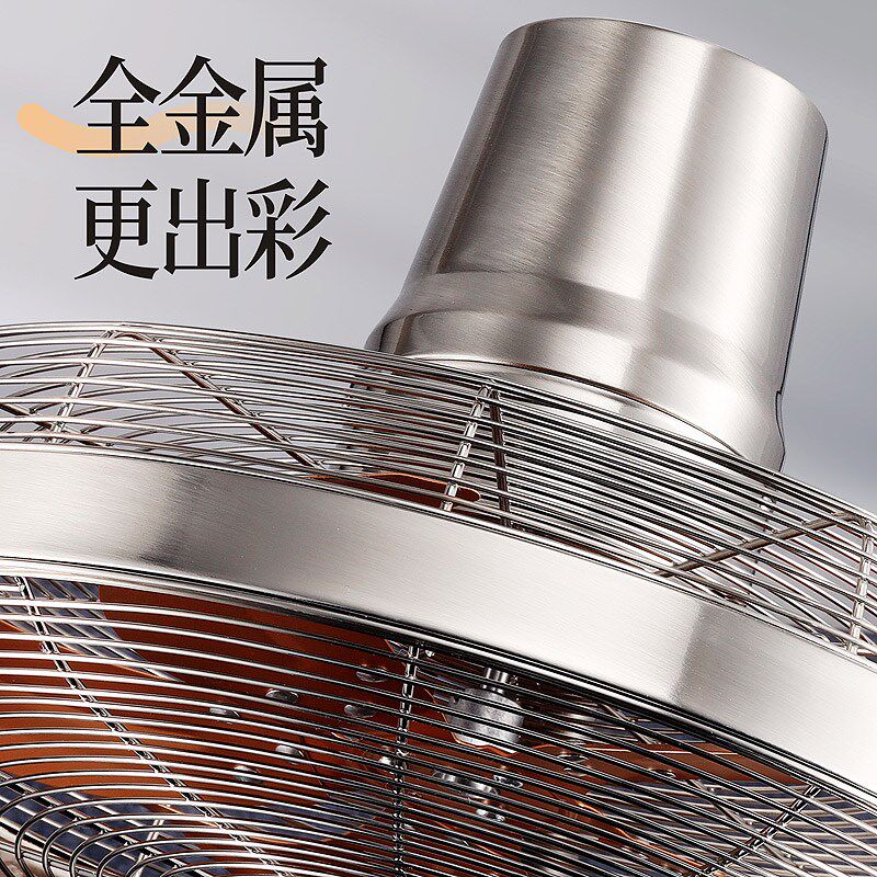 金属复古立式电风扇家用2025新款直流遥控落地扇大风摇头客厅电扇