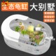 乌龟饲养缸箱子养乌龟鳖专用生态缸塑料龟盆家用桌面客厅鱼缸小型