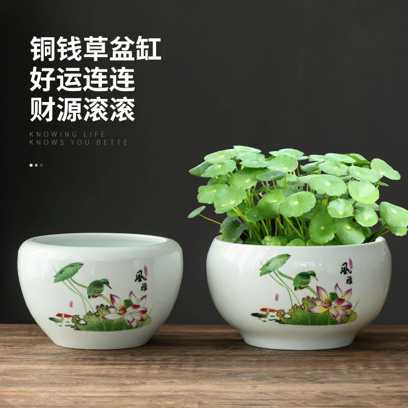 水墨风铜钱草专用水培花盆栽缸陶瓷大口径家用阳台桌面带托盘器皿