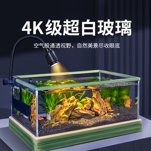 超白鱼缸溪流缸客厅小型新款生态水草缸玻璃缸家用桌面缸造景观赏