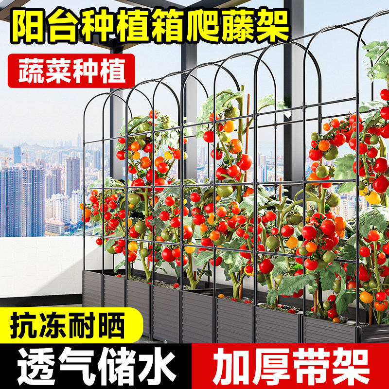 阳台蔬菜种植箱爬藤架园艺植物支撑杆黄瓜爬藤架长方形花盆葡萄架