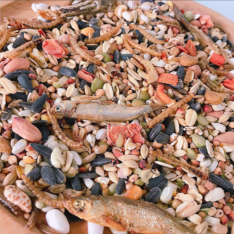 仓鼠粮食金丝熊食主粮仑鼠小宠磨牙用品套餐齐全小零食营养面包虫