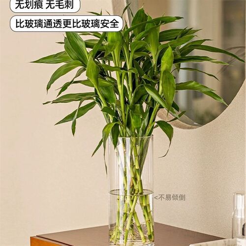 亚克力龟背竹花瓶插花摆件客厅高级感水养水培透明防摔塑料大花器